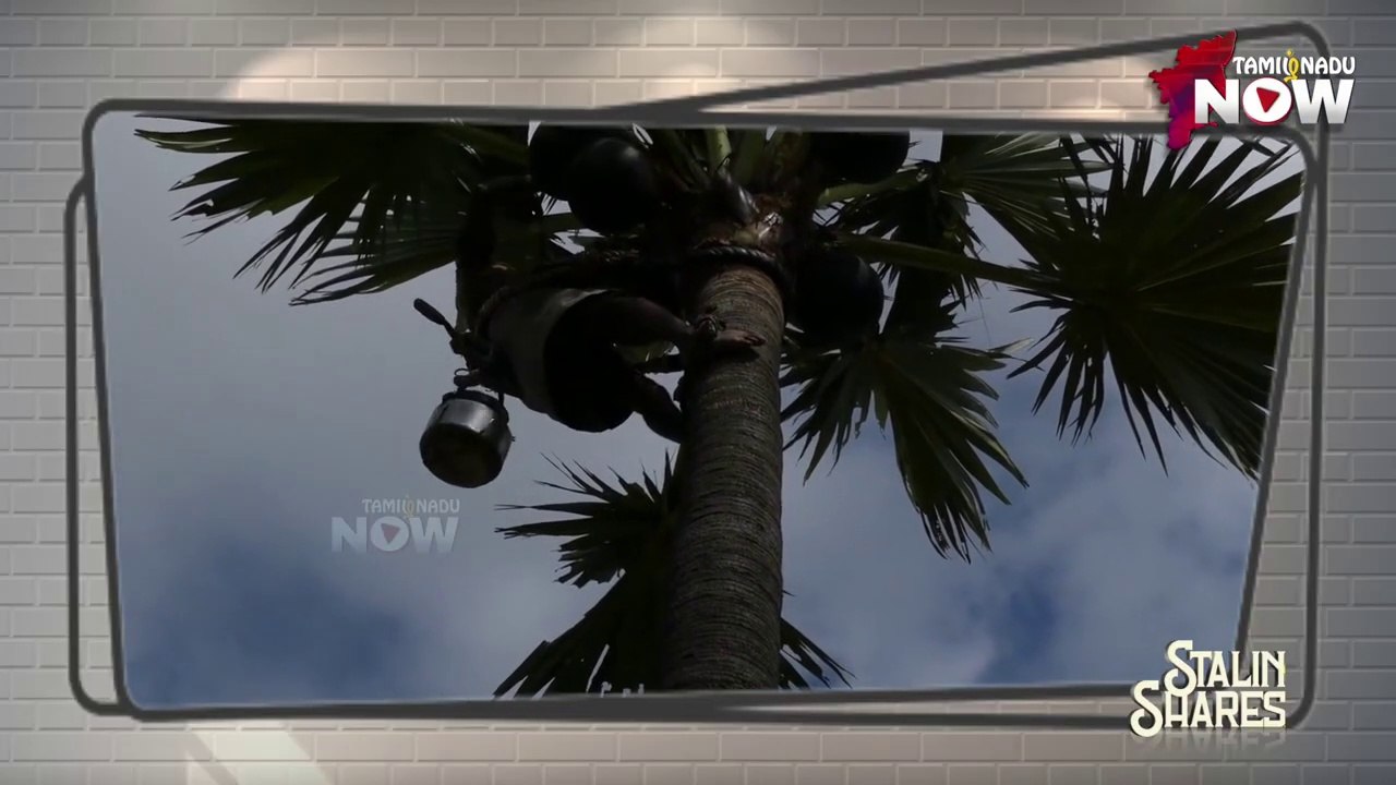 ரௌடி லிங்கம் கொலைதான் trigger... - TASMAC தமிழகத்தில் உருவான கதை! | MGR | Karunanidhi | Tamilnadu