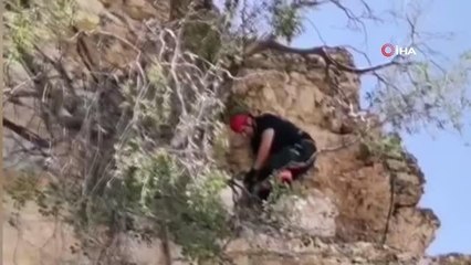 Başkentte keçi kurtarma operasyonu