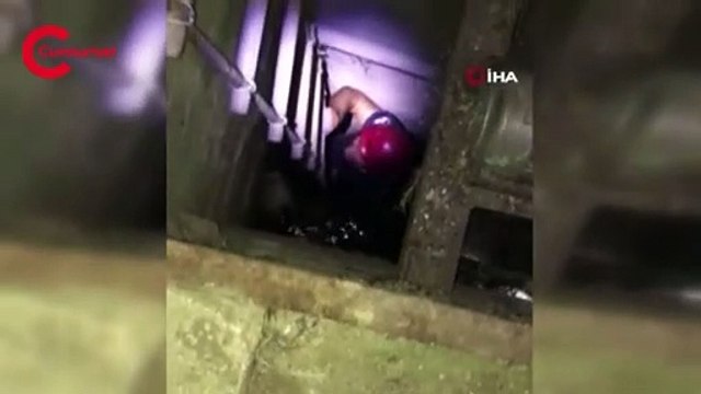 Elazığ’da kuyuya düşen kediyi itfaiye ekipleri kurtardı