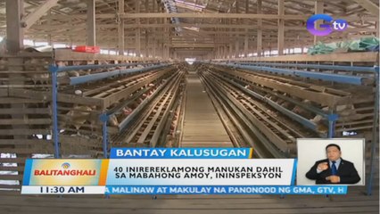 40 inirereklamong manukan dahil sa mabahong amoy, ininspeksyon | BT