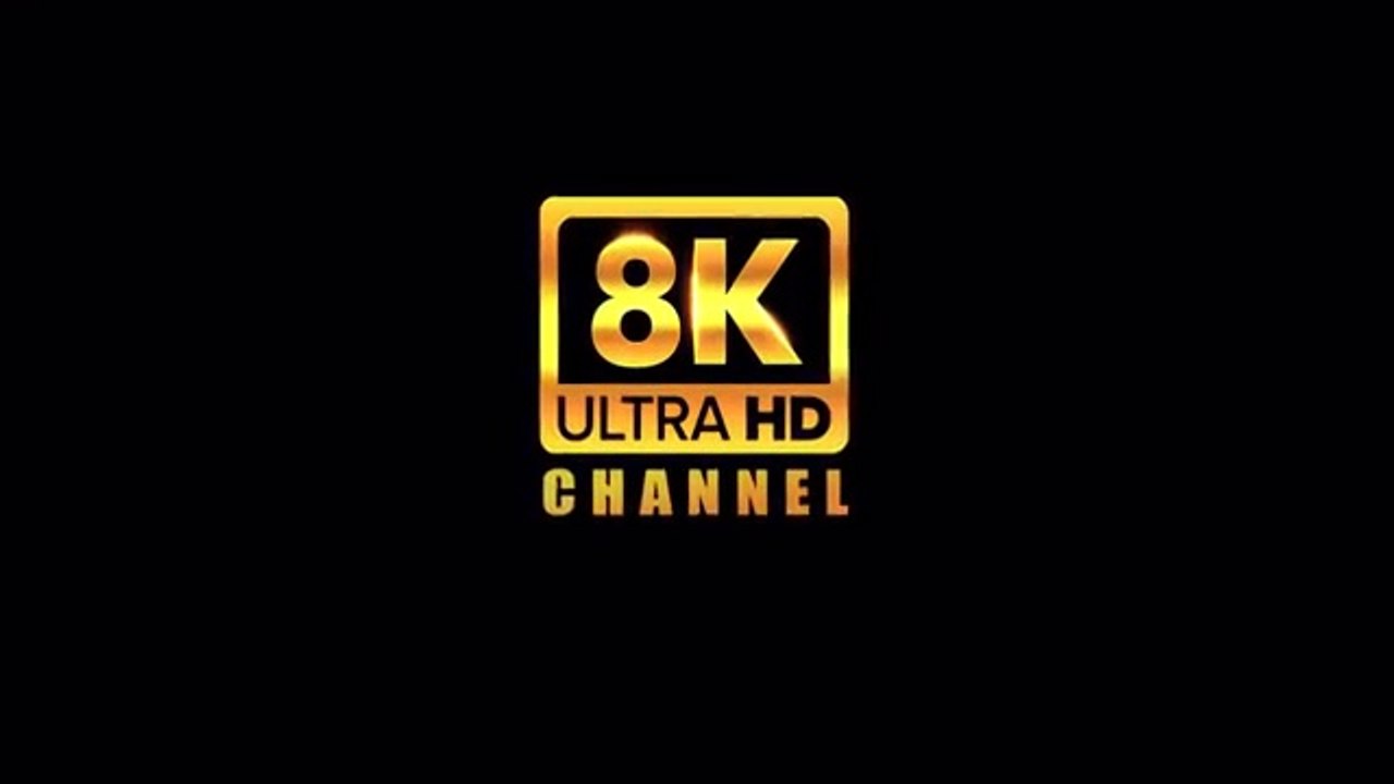 Ultimate_Wild_Animals_Collection_in_8K_ULTRA_HD___8K_TV