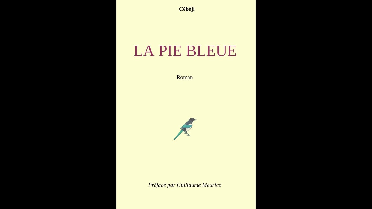 La Pie Bleue (roman)