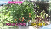 은은한 박하 향 피부 노화를 막아주는 ✦○○○○✦ TV CHOSUN 210715 방송