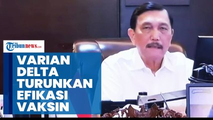 Luhut Sebut Varian Delta Menurunkan Efikasi Seluruh Jenis Vaksin