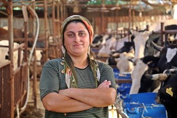 'Yapamazsın' diyenlere inat 4 bilezikle hayvancılık işine girdi, milyonluk servet sahibi oldu
