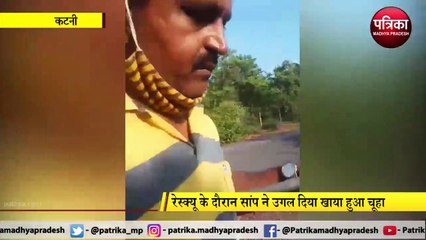 KATNI: रेस्क्यू के दौरान सांप ने उगल दिया खाया हुआ चूहा