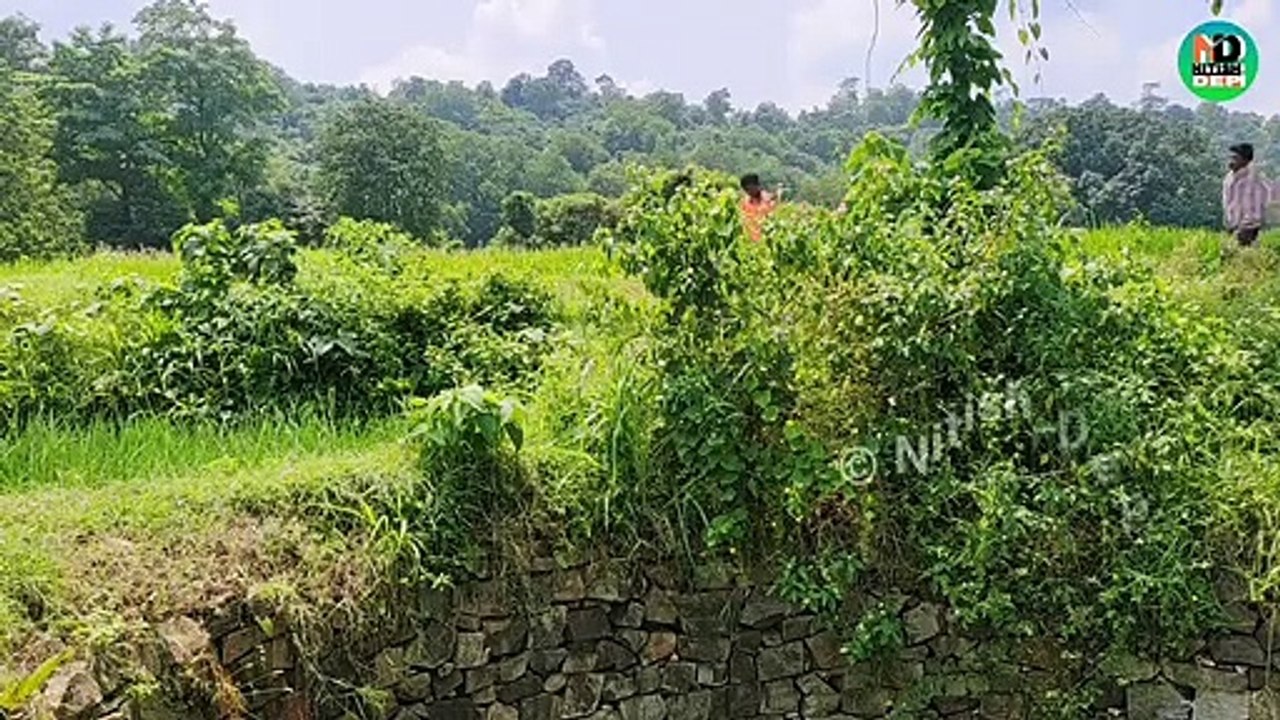 Top New Comedy video 2021 __ full funny video 2021 _ funny prank video 2021