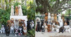 Ce centre de dressage pour chiens réussit l'impossible en réalisant des photos de groupe absolument parfaites