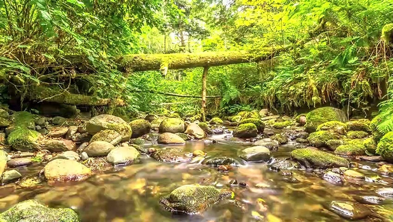 Canada in 8K ULTRA HD HDR - 2nd Largest country in the world  (60 FPS)