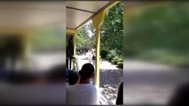 GAZİANTEP - Hayvanat bahçesinde bir aslanın kafesinden çıkması üzerine ziyaretçiler tahliye edildi