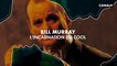 Bill Murray - Portrait de Stars de cinéma