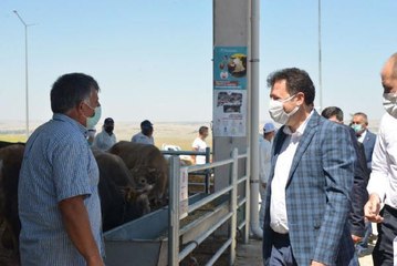 Sosyal mesafeli çubukla kurban pazarlığı