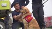 Fire dog helping crews battling biggest wildfire in America