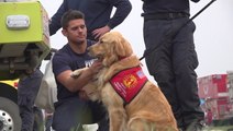 Fire dog helping crews battling biggest wildfire in America