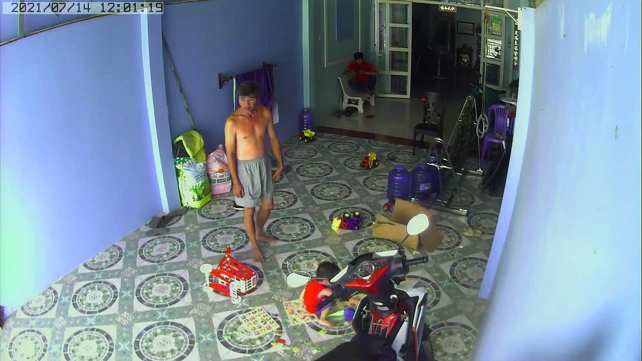 King Cobra Tries to Follow Child Inside