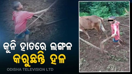 Watch - Minor Boy Ploughs Farm Land In Malkangiri