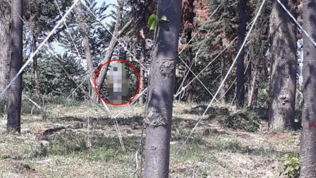 Ağaca asılı halde bulunan cansız beden ekipleri harekete geçirdi