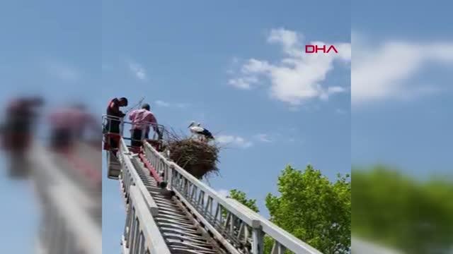 YUVASINDAN DÜŞEN YAVRU LEYLEĞİ İTFAİYE EKİBİ KURTARDI