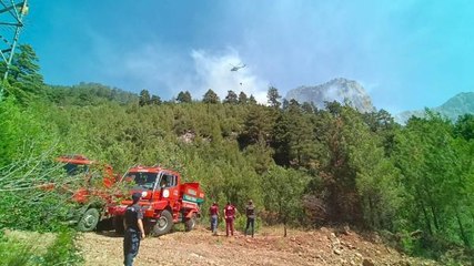 ADANA'DA 3 AYRI BÖLGEDE ÇIKAN ORMAN YANGINLARI SÖNDÜRÜLDÜ