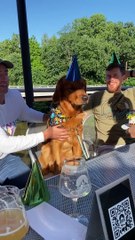 Big Bite of Birthday Cake for Man's Best Friend