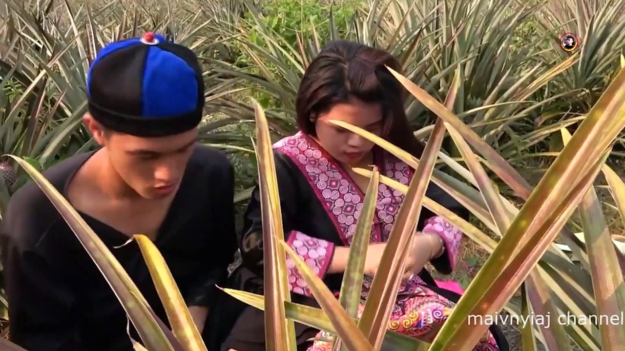 205.New movie short lem txoj kev hlub tim vaj ntoos