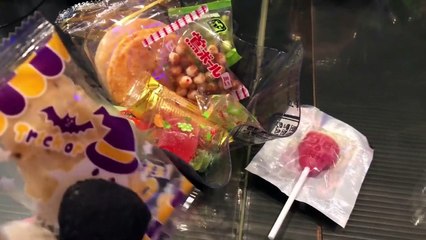 【京橋・パパラチア】このあと鶴瓶師匠があらわれたロバ(・∀・)笑