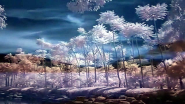 Selam Olsun seslendiren Video klip Aynur AVCI