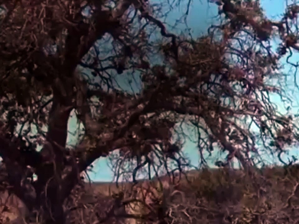 The Virginian - Se6 - Ep8 - Part 01 HD Watch