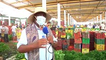 Point Marché au Marché de Gros du jeudi 15 juillet 2021