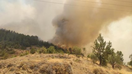 Son dakika haberi: Mersin'de çıkan orman yangınına havadan ve karadan müdahale ediliyor