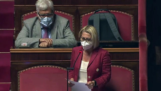 Ddl Zan, Masini la senatrice di FI che ha fatto coming out: Mia madre mi disse 'ho paura per te'