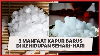 Siapa Sangka, Ini 5 Manfaat Kapur Barus di Kehidupan Sehari-hari