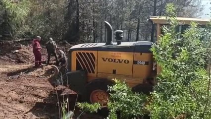 Orman yangınına müdahale ediliyor (3)