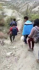 Niños recorren a diario 7 km para buscar señal en la punta de un cerro