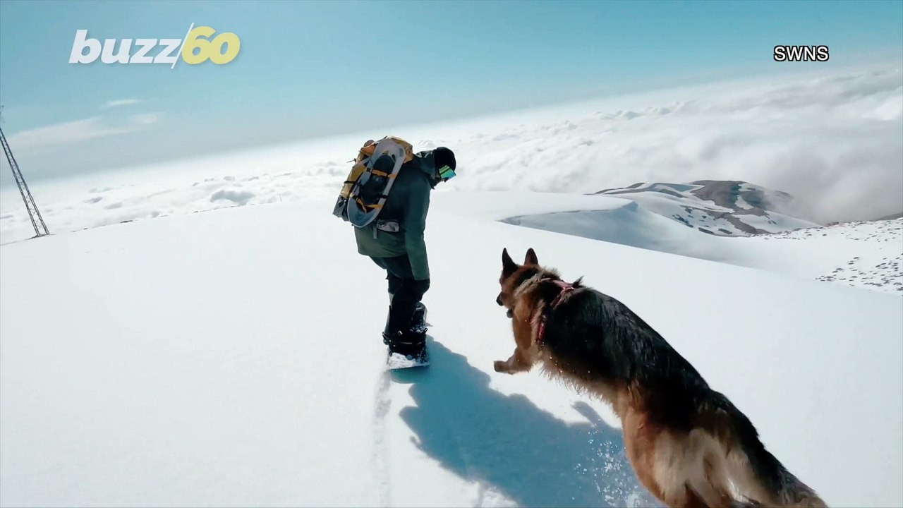 Check Out This Strong and Amazing Pup Keep up With His Owner on a Snowboard!