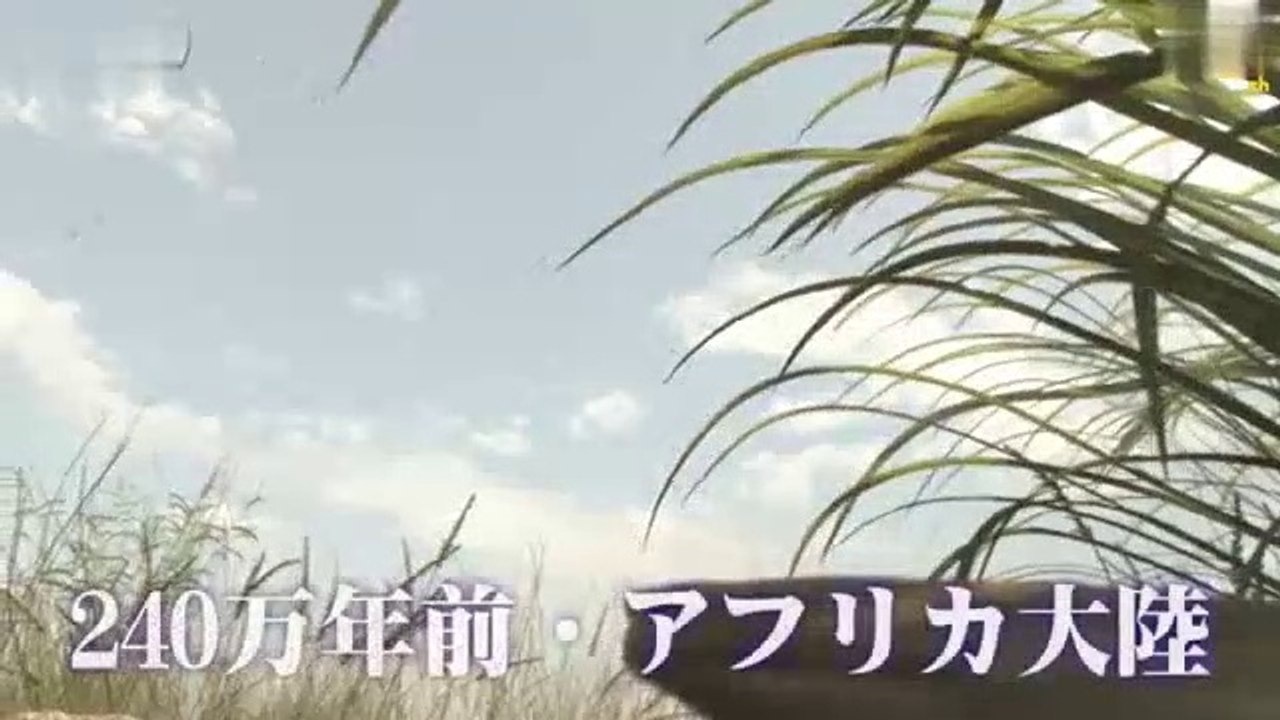 south african monkey sounds,african monkey man