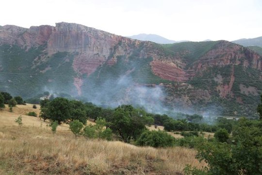 Tunceli'de piknikçilerin olduğu alana yıldırım isabet etti: Yıldırım düşmesi sonucu yangın çıktı
