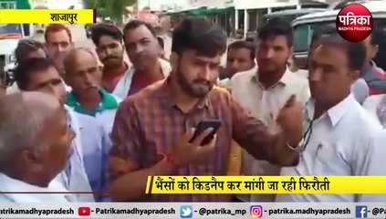VIDEO STORY : विधायक के पास शिकायत लेकर पहुंचे लोग, भैंसों को किडनैप कर मांगी जा रही फिरौती