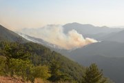 Mersin'de orman yangını! 650 hektar alan alevlerden etkilendi