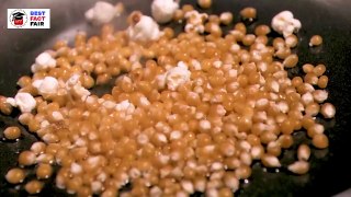 मक्के के दाने से पॉपकॉर्न कैसे और क्यों बनता है ? | Why Popcorn is Fluffy? | Science behind Popcorn