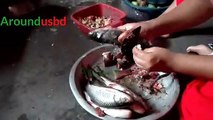 Amazing Live Fish Cutting Skills in Village girl Super Fast Fish Cutting Skills Aroundusbd