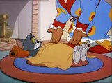 Tom & Jerry 01 A Pottyos Macska