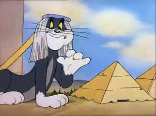 Tom & Jerry 11 A Magyanyos Eger