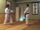 Shotokan Karate Kanazawa Mastering Karate 05 Dan Kata [Part 3]