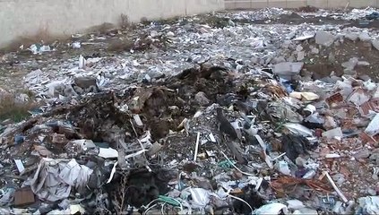 Terk edilen bebeği böcekler yemiş