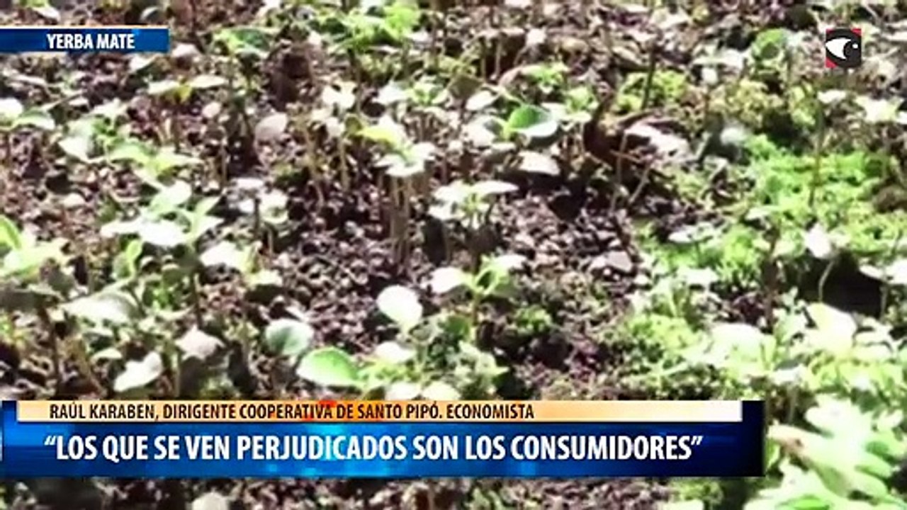 “los que se ven perjudicados son los consumidores”
