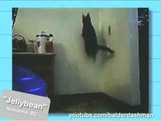 Ultra Kawaii - Happy Leap Year!