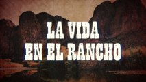 Banda Rancho Viejo De Julio Aramburo La Bandononona - La Vida En El Rancho