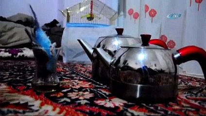 Böyle çay tiryakisi görülmedi