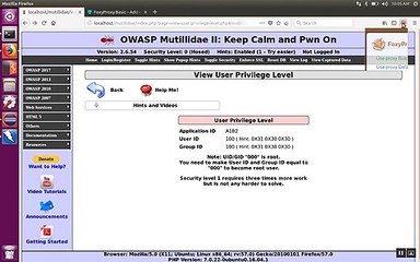 How to Install and Configure Foxy Proxy with Firefox ... Mexico (2)